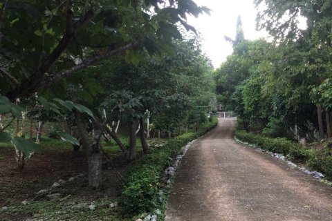 Земельный участок в Пак Чонге, Таиланд 20000м2  № 159525 - фото 7