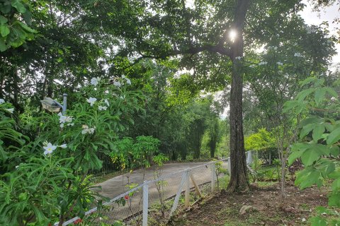 Земельный участок в Пак Чонге, Таиланд 20000м2  № 159525 - фото 2