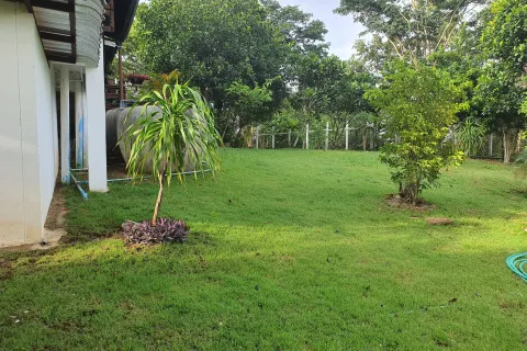 Земельный участок в Пак Чонге, Таиланд 20000м2  № 159525 - фото 5