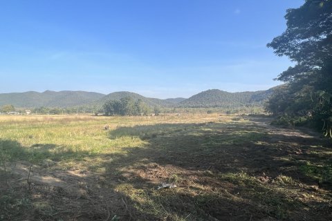 Land in Lamphun, Thailand 3200 sq.m. № 159526 - photo 2