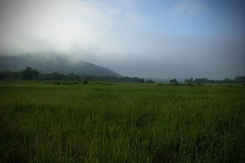 Land in Lamphun, Thailand 3200 sq.m. № 159526 - photo 5