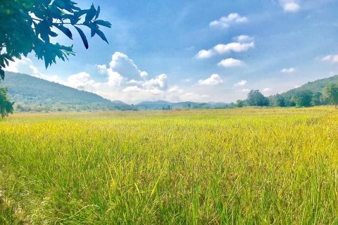 Land in Lamphun, Thailand 3200 sq.m. № 159526 - photo 3