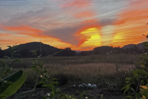 Land in Lamphun, Thailand 3200 sq.m. № 159526 - photo 6