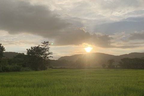 Land in Lamphun, Thailand 3200 sq.m. № 159526 - photo 8