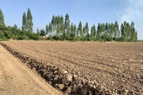 Land in Tha Muang, Thailand 25600 sq.m. № 159524 - photo 5