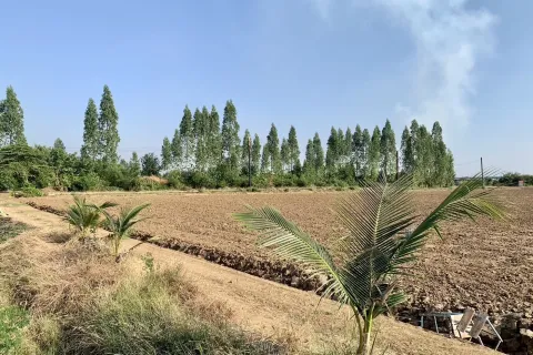 Land in Tha Muang, Thailand 25600 sq.m. № 159524 - photo 3