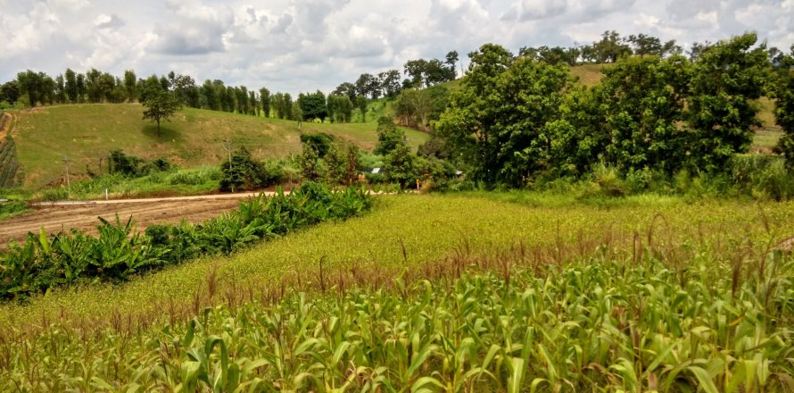 Земельный участок в Мэчане, Таиланд 6400м2  № 159529