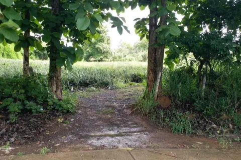 Земельный участок в Мэчане, Таиланд 6400м2  № 159529 - фото 3