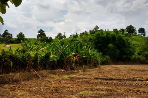 Земельный участок в Мэчане, Таиланд 6400м2  № 159529 - фото 5
