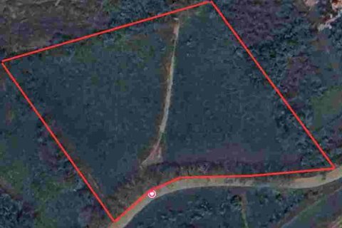 Земельный участок в Мэчане, Таиланд 6400м2  № 159529 - фото 7