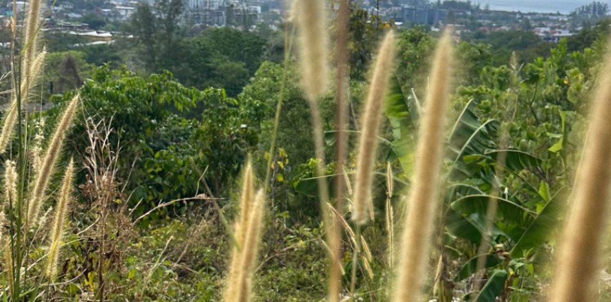 Land in Kathu, Thailand 653 sq.m. № 163190