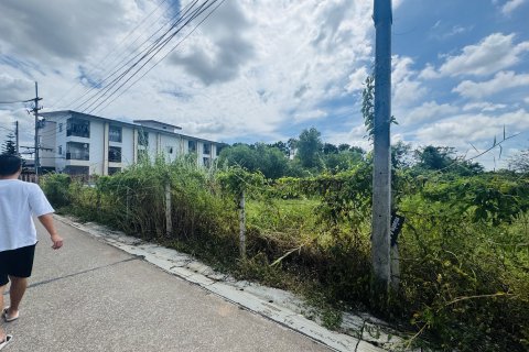 Земельный участок в Районге, Таиланд 3200м2  № 163516