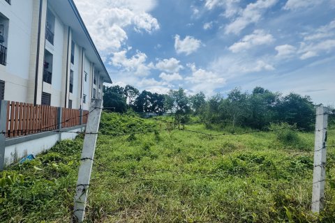 Земельный участок в Районге, Таиланд 3200м2  № 163516 - фото 3