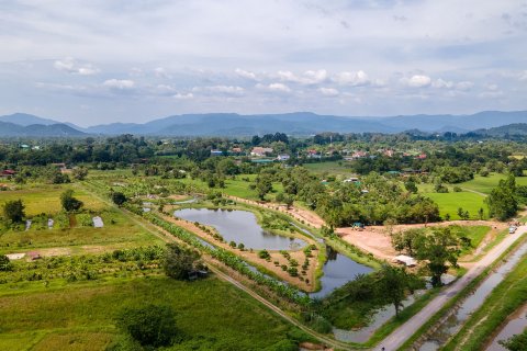 Land in Nakhon Nayok, Thailand 16000 sq.m. № 171680 - photo 4