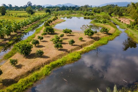 Land in Nakhon Nayok, Thailand 16000 sq.m. № 171680 - photo 13
