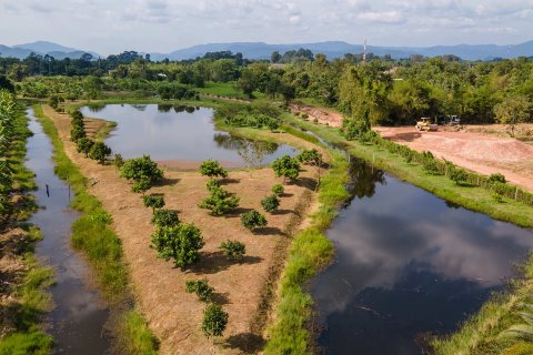 Land in Nakhon Nayok, Thailand 16000 sq.m. № 171680 - photo 12