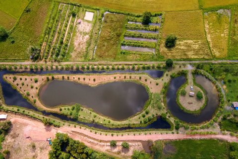 Land in Nakhon Nayok, Thailand 16000 sq.m. № 171680 - photo 5