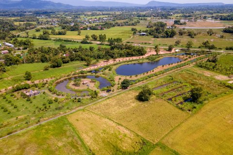 Land in Nakhon Nayok, Thailand 16000 sq.m. № 171680 - photo 9