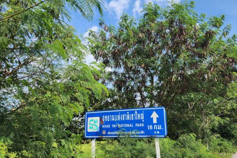 Land in Nakhon Nayok, Thailand 16000 sq.m. № 171680 - photo 15