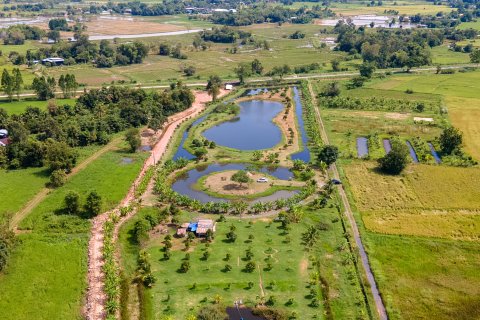 Land in Nakhon Nayok, Thailand 16000 sq.m. № 171680 - photo 11