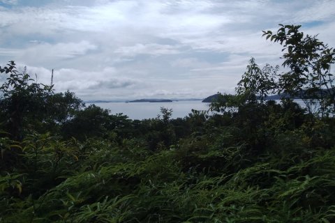 Земельный участок в Пхукете, Таиланд 14400м2  № 173703 - фото 2