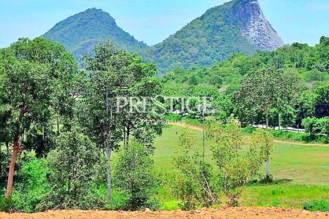 Land in Pattaya, Thailand 10036 sq.m. № 198362