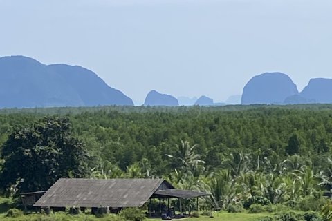 Земельный участок в Пхангнге, Таиланд 137600м2  № 148844 - фото 8