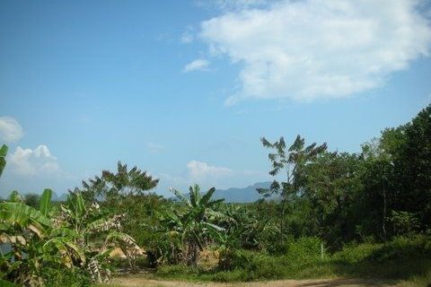 Земельный участок в Пхангнге, Таиланд 137600м2  № 148844 - фото 4