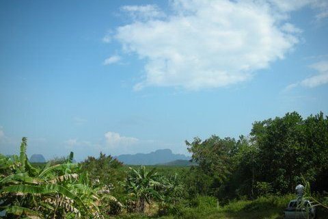 Земельный участок в Пхангнге, Таиланд 137600м2  № 148844 - фото 1