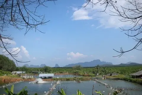 Земельный участок в Пхангнге, Таиланд 137600м2  № 148844 - фото 3