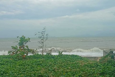 Земельный участок в Самуи, Таиланд 6400м2 № 152985 - фото 5