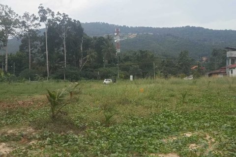 Земельный участок в Самуи, Таиланд 6400м2 № 152985 - фото 2