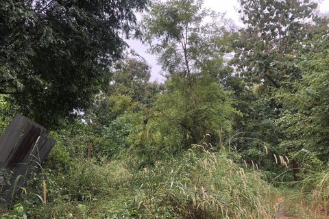 Land in Lampang, Thailand 40256 sq.m. № 152986 - photo 3