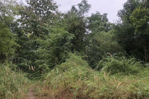 Land in Lampang, Thailand 40256 sq.m. № 152986 - photo 4