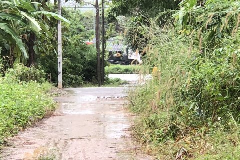 Land in Lampang, Thailand 40256 sq.m. № 152986 - photo 1