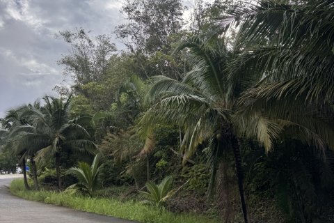 Terrain à Rayong, Thaïlande 8000000 m2 № 167358 - photo 4