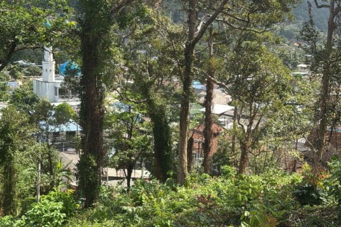 Terrain à Rayong, Thaïlande 8000000 m2 № 167358 - photo 2