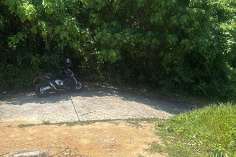 Terrain à Rayong, Thaïlande 8000000 m2 № 167358 - photo 1