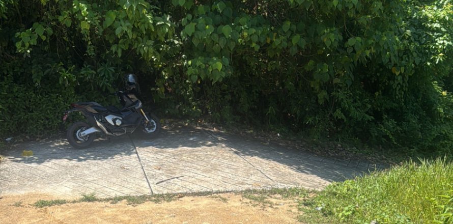 Terrain à Rayong, Thaïlande 8000000 m2 № 167358