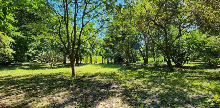 Entrepôt à Chiang Mai, Thaïlande 1550 m2 № 122793