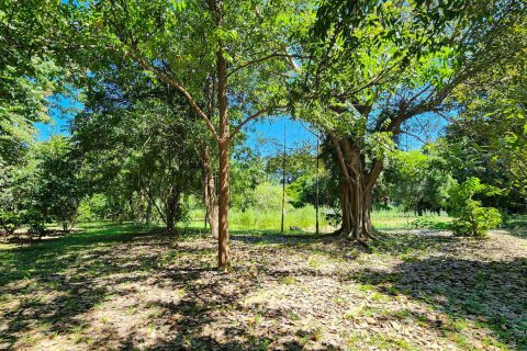 Warehouse in Chiang Mai, Thailand 1550 sq.m. № 122793 - photo 19