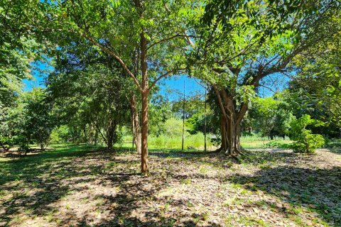 Склад в Чиангмае, Таиланд 1550м2  № 122793 - фото 19