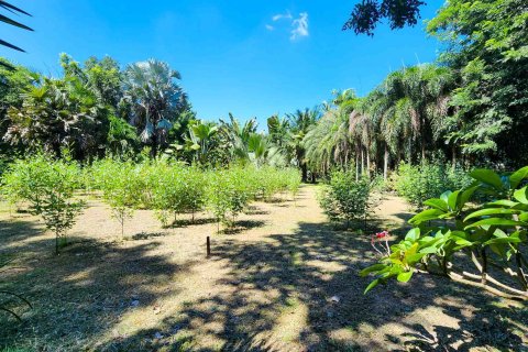 Склад в Чиангмае, Таиланд 1550м2  № 122793 - фото 15