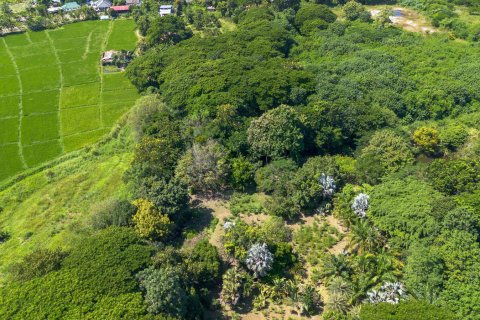 Склад в Чиангмае, Таиланд 1550м2  № 122793 - фото 22