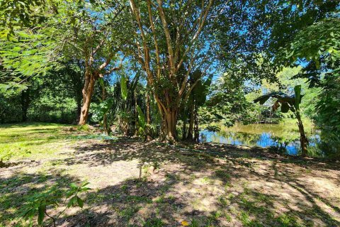 Entrepôt à Chiang Mai, Thaïlande 1550 m2 № 122793 - photo 16