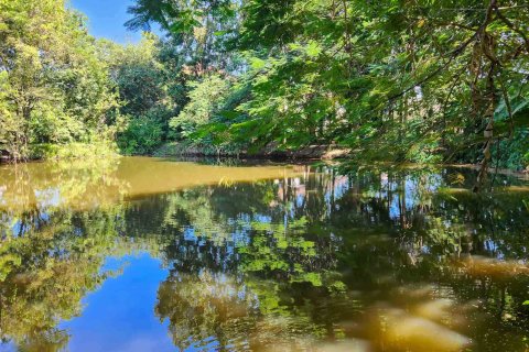 Warehouse in Chiang Mai, Thailand 1550 sq.m. № 122793 - photo 2