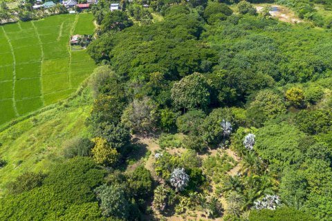 Склад в Чиангмае, Таиланд 1550м2  № 122793 - фото 22