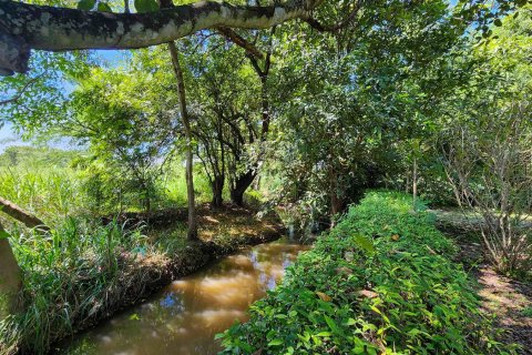 Warehouse in Chiang Mai, Thailand 1550 sq.m. № 122793 - photo 13