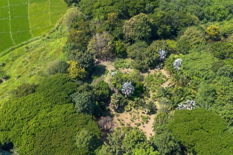 Entrepôt à Chiang Mai, Thaïlande 1550 m2 № 122793 - photo 7