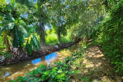 Warehouse in Chiang Mai, Thailand 1550 sq.m. № 122795 - photo 12